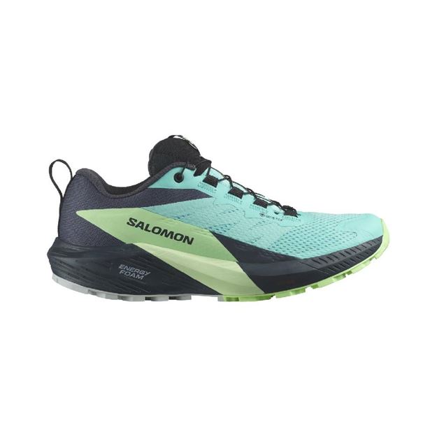 Picture of SALOMON - SENSE RIDE 5 GTX W